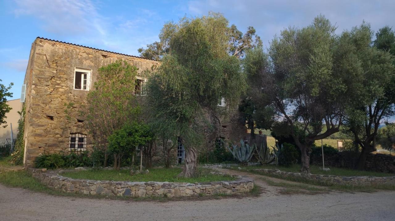Domaine Ostriconi Bed & Breakfast Palasca  Exterior photo